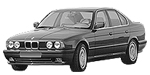 BMW E34 P387E Fault Code